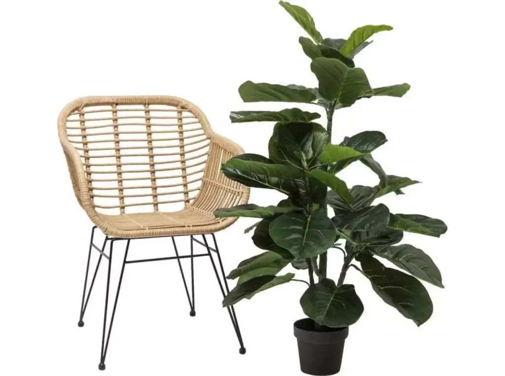 Top floor plante decorative