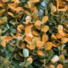 Panou decor verde 6105B