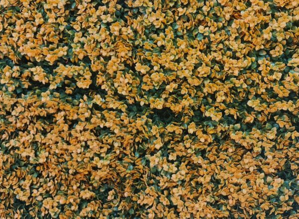 6911B Panou decor verde 6911B
