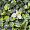 Panou decor verde 6916B
