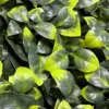 Panou decor verde 6916B