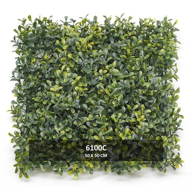 6100C