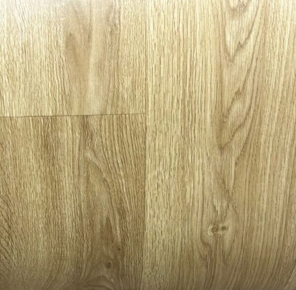 linoleum t55