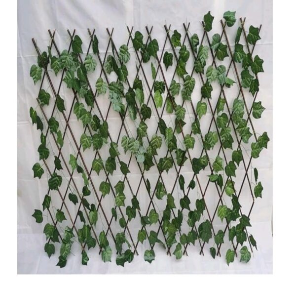 gaed verde