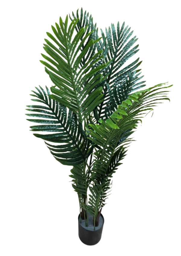 JS3066 plante