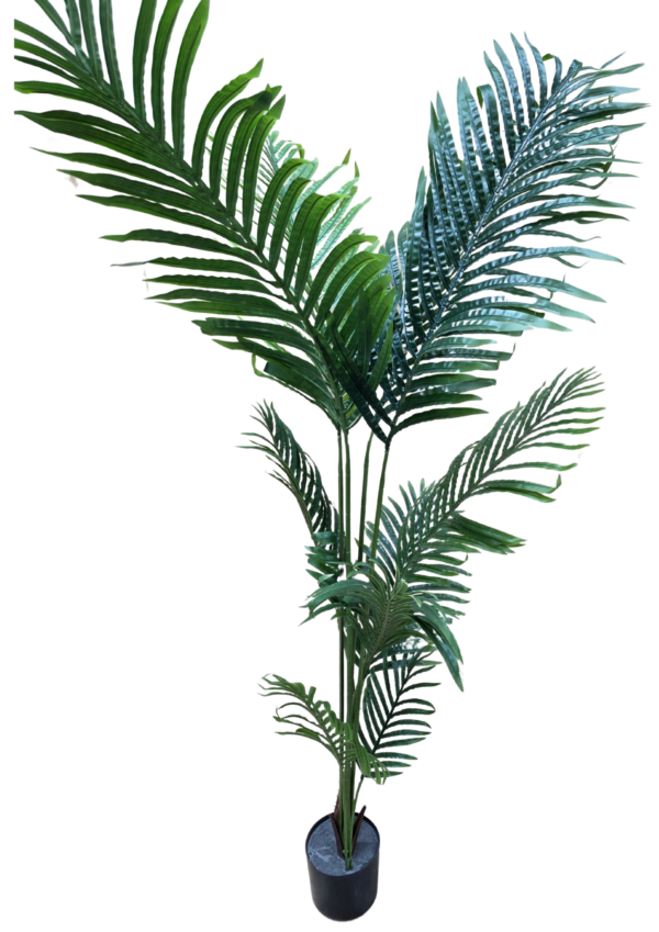 JS3100 (2) plante