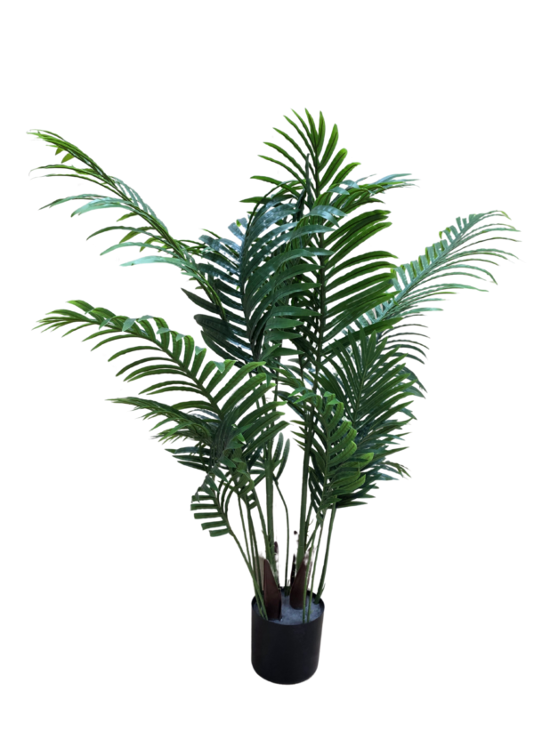 JS3130 plante