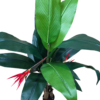 Planta decorativa artificiala JS2690 Banan