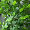 Planta decorativa artificiala JS2846-100