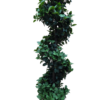 plante
