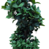 Planta decorativa artificiala JS3045