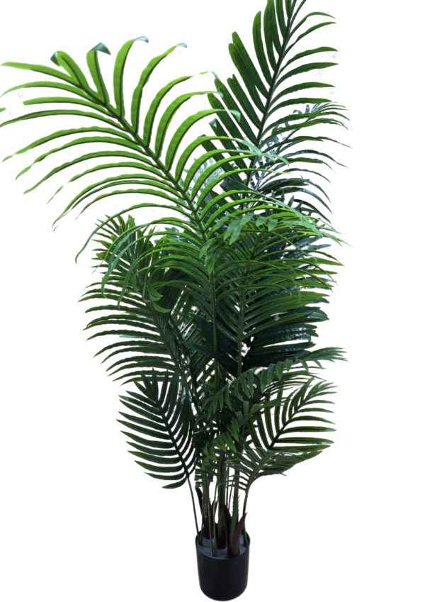 js3067 plante
