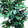 Planta decorativa artificiala JS3107