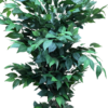 Planta decorativa artificiala JS3107