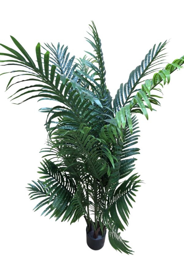 js3131 (2) plante