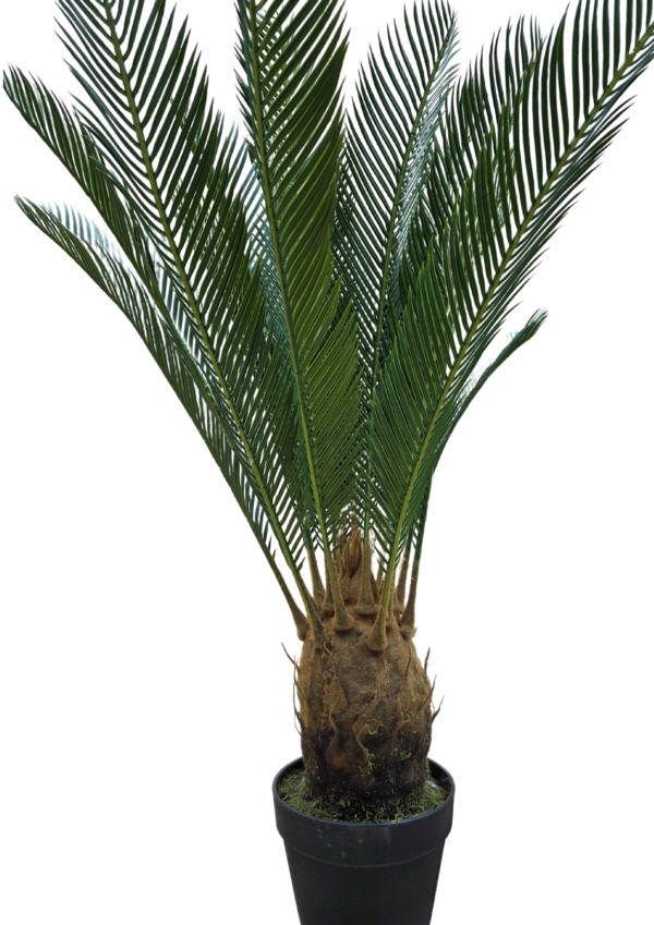 js3175 (2) Planta decorativa artificiala JS3175