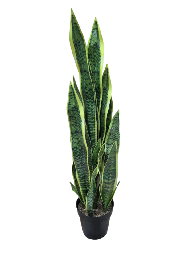 jwt3021 plante