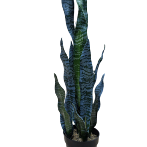 plante