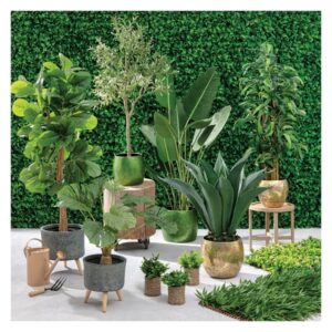 decor